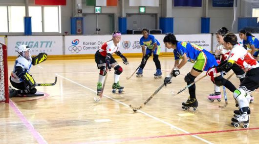 인라인 하키 경기 모습(사진=제천시 제공) *재판매 및 DB 금지