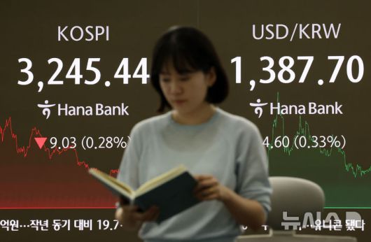 뉴시스
