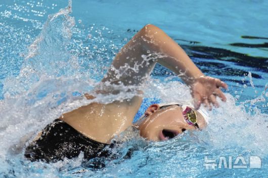 [싱가포르=AP/뉴시스] 김채윤이 1일(현지 시간) 싱가포르 스포츠 허브 아쿠아틱 센터에서 열린 2025 세계수영연맹(WA) 세계선수권대회 여자 계영 800m 예선 경기를 펼치고 있다. 계영 800m는 4명의 선수가 각각 200m씩 자유형으로 경기하며 순위를 다툰다. 2025.08.01.