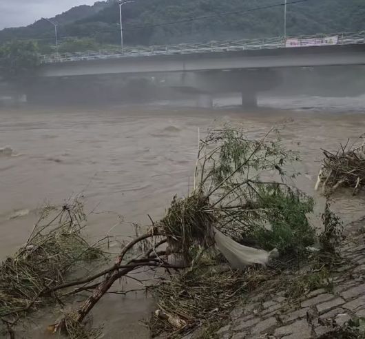 [서울=뉴시스] 폭우 피해. (사진 = 서효림 인스타그램 캡처) 2025.08.01. photo@newsis.com *재판매 및 DB 금지