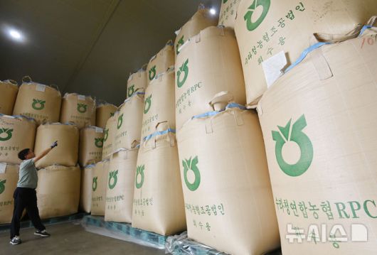 [화성=뉴시스] 김종택 기자 = 과잉 생산된 쌀을 정부가 의무적으로 매입하는 내용의 양곡관리법 개정안이 국회 본회에 통과된 4일 경기 화성시 남양읍 수라청농협쌀조공법인 저온창고에서 관계자가 보관중인 쌀을 살펴보고 있다. 2025.08.04. jtk@newsis.com