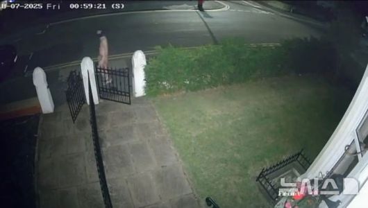 [뉴시스] 영국 북서부 리섬(Lytham)의 주택가에서 김프 마스크와 운동화만 착용한 채 새벽 거리를 배회하는 남성의 모습이 CCTV에 포착됐다. 해당 영상은 지역 주민들 사이에서 빠르게 확산되며 불안을 불러일으키고 있다. (사진=뉴욕포스트) 2025.08.05.