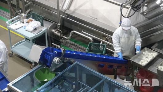 [제주=뉴시스] 미스터밀크 모짜렐라 치즈 공장의 모습. (사진 = 농식품부 공동취재단) 2025.09.03.