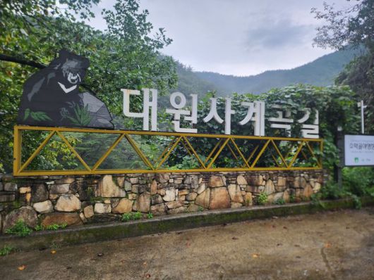 [산청=뉴시스] 서희원 기자= 16일 경남 산청군 삼장면 대원사 계곡길 입구  2025. 09. 16. shw1881@newsis.com *재판매 및 DB 금지