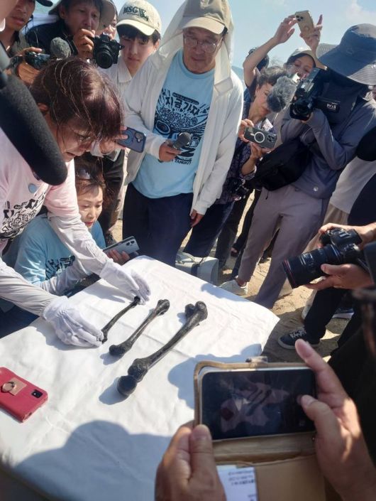 [서울=뉴시스] 사진은 지난해 8월25일 조세이 탄광 유해 발굴 잠수 조사 당시 발견된 인골. (사진=일본 시민단체 '조세이 탄광 수몰사고(水非常)를 역사에 새기는 모임' 제공) 2026.01.14. photo@newsis.com *재판매 및 DB 금지