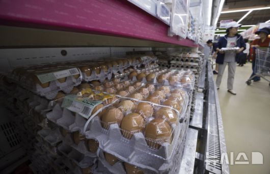 [서울=뉴시스] 김근수 기자 = 사진은 지난해 10월2일 서울 시내의 한 대형마트에 달걀이 진열돼 있는 모습. 2025.10.02. ks@newsis.com