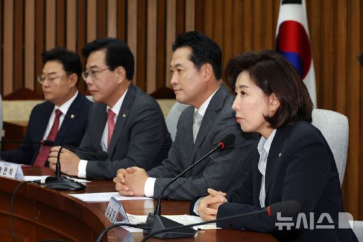 [서울=뉴시스] 김명년 기자 = 나경원 국민의힘 지방선거 총괄기획단 위원장이 10일 오전 서울 여의도 국회에서 열린 총괄기획단 제1차 전체회의에서 발언하고 있다. 2025.10.10. kmn@newsis.com