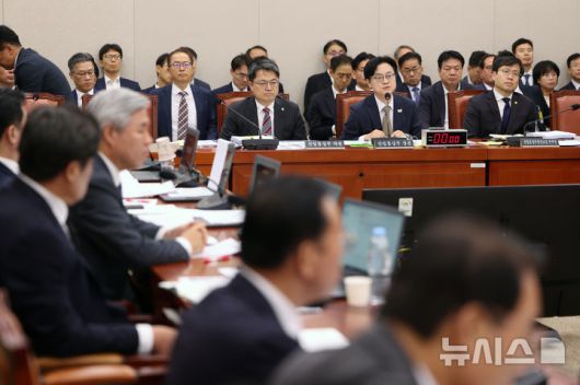 [서울=뉴시스] 김명년 기자 = 김정관 산업통상부 장관이 13일 오전 서울 여의도 국회에서 열린 산업통상자원중소벤처기업위원회 국정감사에서 질의에 답하고 있다. 2025.10.13. kmn@newsis.com