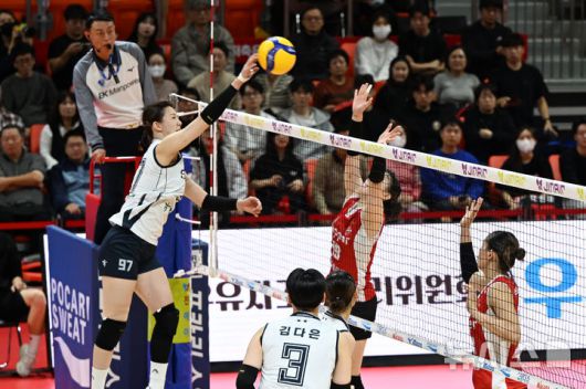 [광주=뉴시스] 이현행 기자 = 21일 오후 광주 서구 염주종합체육관에서 열린 진에어 2025~2026 V리그 여자부 개막전 한국도로공사 하이패스와 페퍼저축은행 AI페퍼스의 경기, 4세트 도로공사 강소휘가 스파이크를 때리고 있다. 2025.10.21.  lhh@newsis.com