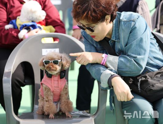 [서울=뉴시스] 김진아 기자 = 25일 서울 성동구 살곶이체육공원 인라인스케이트장에서 열린 제3회 성동구 반려동물 축제 '성동에서 놀다가개'에서 반려견과 가족들이 즐거운 시간을 보내고 있다. 행사는 반려가족 패션쇼, 강아지 안고 림보, 반려견 운동회 등 보호자와 반려견이 함께 즐길 수 있는 다채로운 프로그램을 마련했다. 또 부대행사로 유기동물 입양 홍보, 1:1 반려견 건강 및 행동 상담, 기초 위생·미용 등 홍보, 참여, 체험마당이 운영된다.2025.10.25. bluesoda@newsis.com