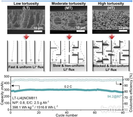 [포항=뉴시스] 송종욱 기자 = 포스텍·중앙대 공동 연구팀이 전기차 리튬금속 배터리 수명과 폭발 화재를 막는 3차원 다공성 구조체를 개발했다. 사진은 곡도에 따른 구조체 형상과 리튬 전착 모식도 및 저굴곡도 구조체를 사용한 파우치셀 성능 그래프. (사진=포스텍 제공) 2025.10.29. photo@newsis.com