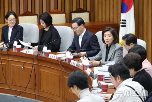 [서울=뉴시스] 조성봉 기자 = 나경원 국민의힘 지방선거 총괄기획단 위원장이 지난 7일 오후 서울 여의도 국회에서 열린 제9회 전국동시지방선거 총괄기획단 전체회의에서 발언을 하고 있다. 2025.11.07. suncho21@newsis.com