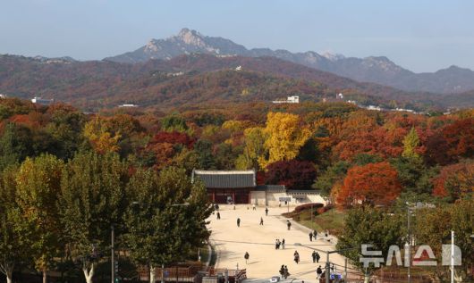 [서울=뉴시스] 조성우 기자 = 11일 오후 서울 종로구 종묘 주변이 울긋불긋 단풍으로 물들어 있다. 2025.11.11. xconfind@newsis.com