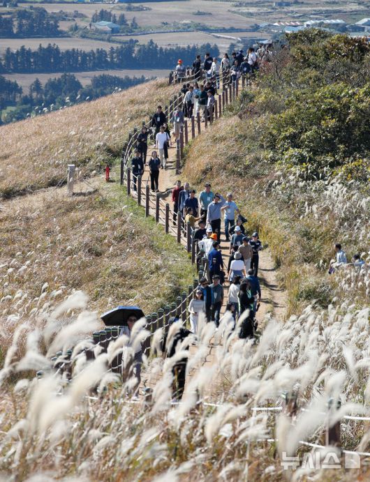 [제주=뉴시스] 우장호 기자 = 포근한 가을 날씨를 보인 16일 오후 제주시 애월읍 새별오름에서 관광객들이 억새를 감상하며 늦가을 정취를 만끽하고 있다.기상청에 따르면 17일부터 찬 대륙고기압의 영향으로 아침 기온이 영하권으로 떨어지는 등 큰 추위가 찾아올 것으로 전망된다. 2025.11.16. woo1223@newsis.com