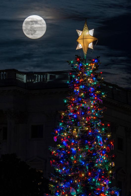 [워싱턴=AP/뉴시스] 4일(현지 시간) 미국 워싱턴에서 올해 마지막 보름달인 ‘콜드 슈퍼문’이 의사당 앞 크리스마스트리 뒤로 떠오르고 있다. 2025.12.05.