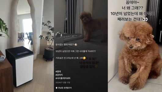 박나래 주사이모 이모씨가 샤이니 키 집에서 찍은 것으로 추정되는 사진과 영상.