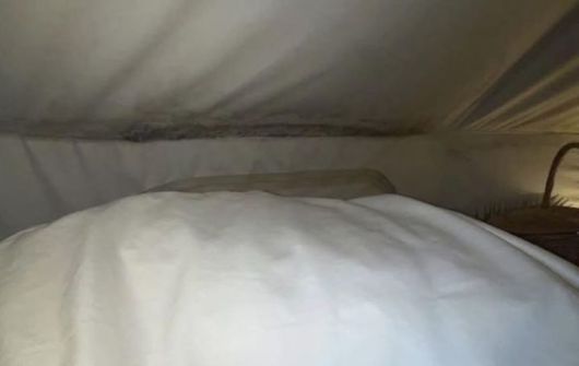 [뉴시스] 침대 머리맡 벽면에 곰팡이가 득실거리고 있다. (사진=보배드림 캡처) *재판매 및 DB 금지