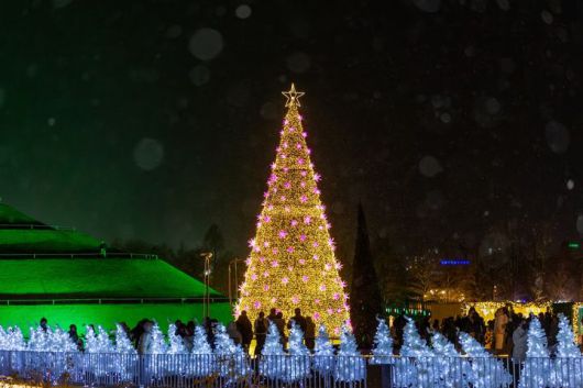 [순천=뉴시스] 순천만국가정원 대형트리와 화이트트리거리. (사진=순천시 제공) 2025.12.26. photo@newsis.com *재판매 및 DB 금지