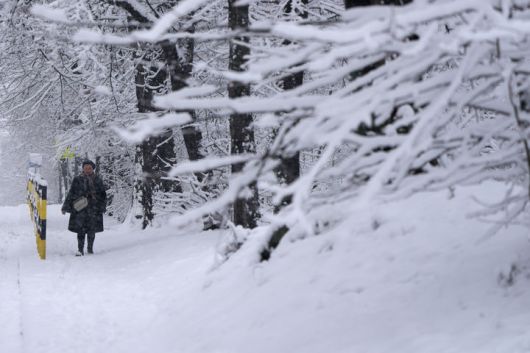 [베오그라드=AP/뉴시스] 4일(현지 시간) 세르비아 베오그라드에서 한 여성이 폭설이 내린 거리를 걷고 있다. 2026.01.07.