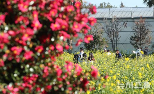 [서귀포=뉴시스] 우장호 기자 = 맑은 날씨를 보인 9일 오전 제주 서귀포시 남원읍 휴애리자연생활공원을 찾은 관광객들이 활짝 피어난 유채꽃을 감상하며 한겨울 속 봄 정취를 만끽하고 있다. 기상청에 따르면 주말인 10일부터 서서히 찬 대륙고기압의 영향을 받아 전국에 큰 추위가 찾아오고, 11일에는 남부와 제주를 중심으로 많은 눈이 내릴 것으로 예측됐다. 2026.01.09. woo1223@newsis.com