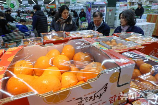 [서울=뉴시스] 권창회 기자 = 11일 서울의 한 대형마트에서 시민들이 귤을 고르고 있다. 2026.01.11. kch0523@newsis.com