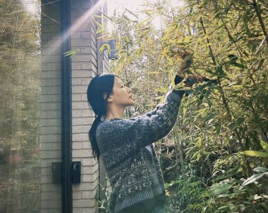 [서울=뉴시스] 배우 이영애. (사진=이영애 인스타그램 캡처) 2026.01.12. photo@newsis.com *재판매 및 DB 금지