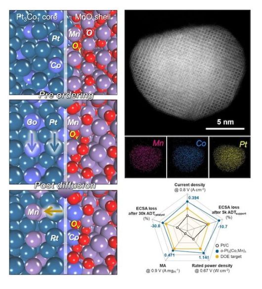 [서울=뉴시스] 해당 연구에서 개발된 촉매의 형성 및 작동 원리를 도식화한 이미지. (사진=고려대 제공) 2026.01.14. photo@newsis.com *재판매 및 DB 금지