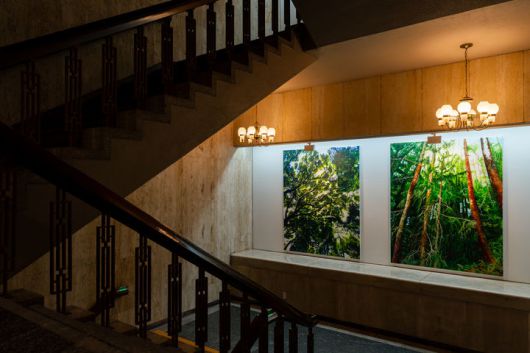 변연미_다시 숲 *재판매 및 DB 금지