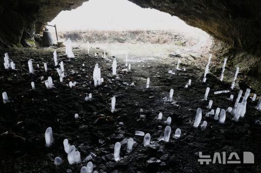 [제천=뉴시스] 이병찬 기자 = 최근 영하 20도까지 내려가는 강추위가 이어지면서 15일 충북 제천시 덕산면 월악산 보덕굴에 역고드름이 만발했다. 역고드름은 동굴 천장에서 떨어지는 물이 얼어붙으면서 만들어진다.2026.01.15.bclee@newsis.com