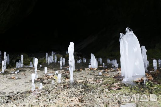 [제천=뉴시스] 이병찬 기자 = 최근 영하 20도까지 내려가는 강추위가 이어지면서 15일 충북 제천시 덕산면 월악산 보덕굴에 역고드름이 만발했다. 역고드름은 동굴 천장에서 떨어지는 물이 얼어붙으면서 만들어진다.2026.01.15.bclee@newsis.com
