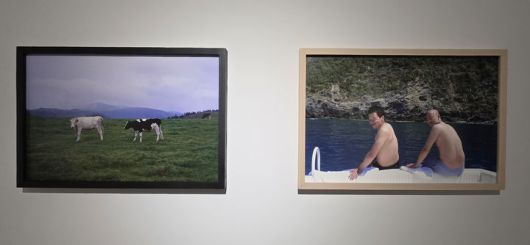 [사진=박현주 미술전문기자] 박용만 사진전. 두 아들의 뒷모습과 초록 평원 위의 소 두 마리. 인간과 자연, 서로 다른 장면이지만 사진은 같은 온도로 말을 건다. *재판매 및 DB 금지