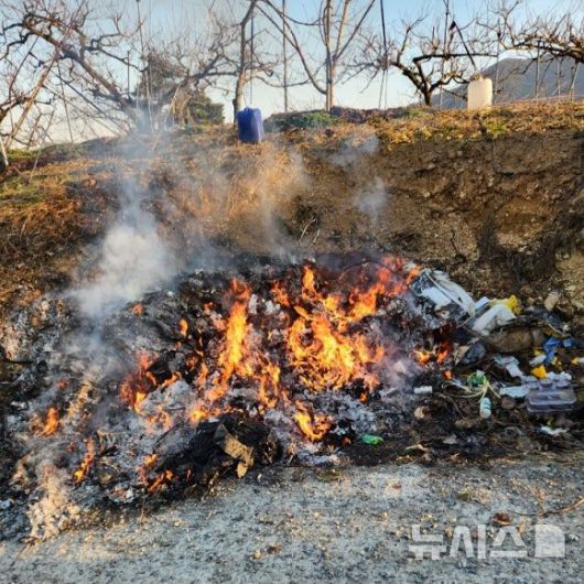 [창원=뉴시스]영농부산물 불법 소각 현장.(자료사진=경남도 제공)