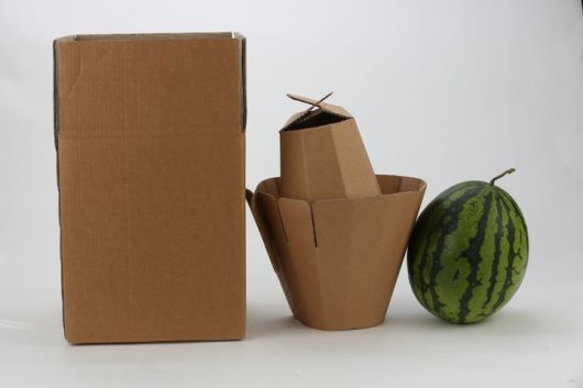 [세종=뉴시스] 수박포장재. (사진=농촌진흥청 제공) *재판매 및 DB 금지