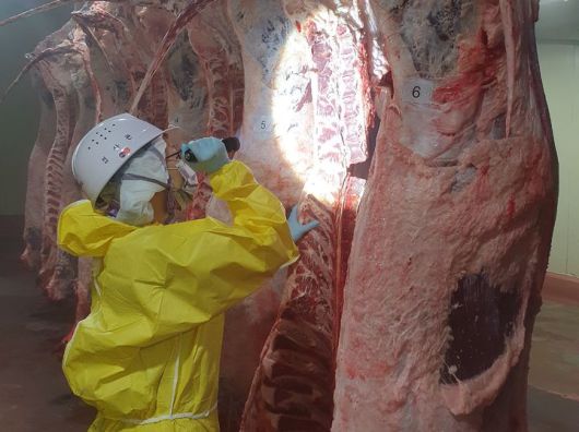 충북도 설 대비 축산물 안전성 검사. (사진=충북도 제공) *재판매 및 DB 금지