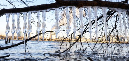 [서울=뉴시스] 김근수 기자 = 전국에 한파가 몰아치는 21일 오전 서울 여의도 한강변에 고드름이 얼어있다. 2026.01.21. ks@newsis.com