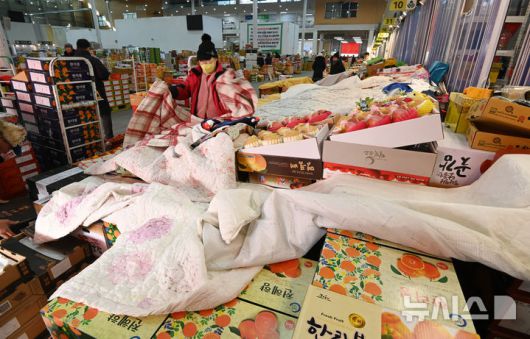 [수원=뉴시스] 김종택 기자 = 전국적으로 매서운 한파가 이어지고 있는 21일 경기 수원시 권선구 수원농수산물도매시장 과일동에 동파 방지를 위해 보온 담요가 씌워져 있다. 2026.01.21. jtk@newsis.com