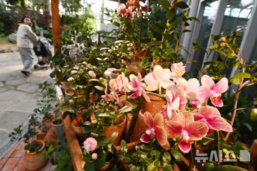 [수원=뉴시스] 김종택 기자 = 강추위가 이어지고 있는 23일 경기 수원시 국립농업박물관을 찾은 시민들이 가벼운 옷차림으로 식물원 내 온실을 둘러보고 있다.기상청은 이날 충청과 남부지방에 내려진 한파특보가 일부 해제되는 등 동장군 기세가 다소 누그러지겠다고 예보했다. 2026.01.23. jtk@newsis.com