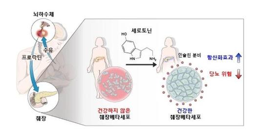 아주경제