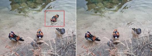 원본 사진(왼쪽)에서 특정 피사체를 객체 지우기로 지운 모습. 자연스럽게 사라졌다.