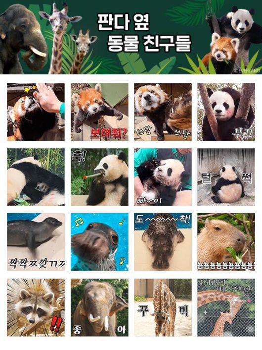 '판다 옆 동물친구들' 카카오 이모티콘 [사진=에버랜드]