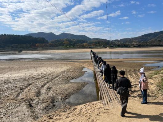 뿅뿅다리를 통해 회룡포 마을로 들어가는 사람들. [사진=김다이 기자]