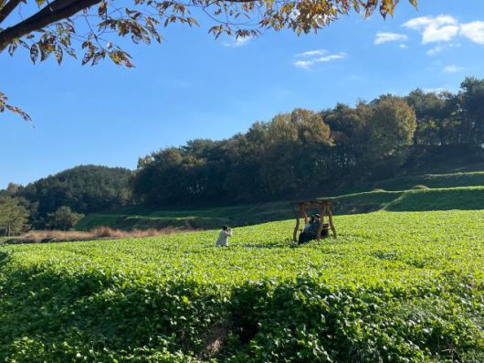 회룡포 정원의 포토스팟 [사진=김다이 기자]