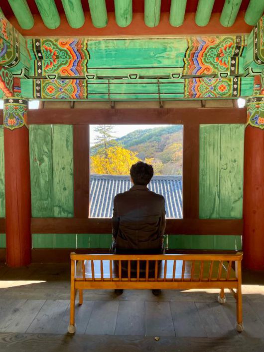 관광객이 용문사에서 은행나무를 바라보고 있다. [사진=김다이 기자]