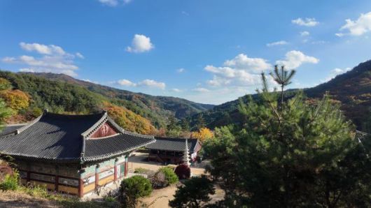 용문사 꼭대기에서 바라본 풍경 [사진=김다이 기자]