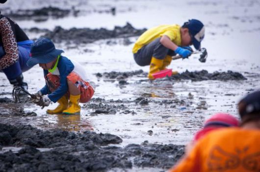 고창 하전 갯벌 체험 [사진=한국관광공사]
