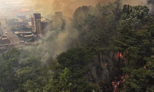 28일 오후 2시 1분께 대구 북구 노곡동 함지산에서 발생한 산불이 인근인 조야동 민가까지 확산하고 있다. [사진=연합뉴스]