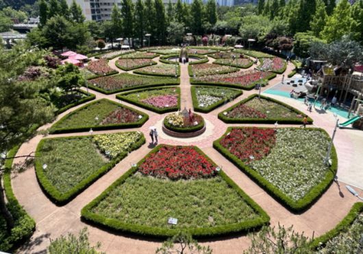 좌광천 지방정원의 중심인 윗골공원과 구목정공원에서 장미가 개화하고 있다[사진=기장군]