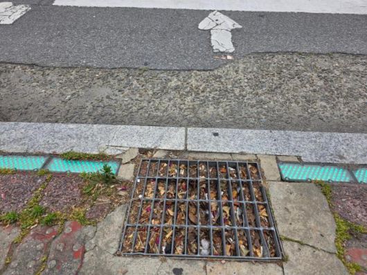 [사진=김옥현 기자]