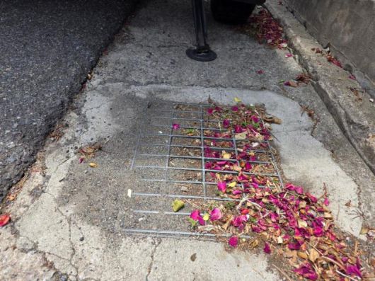 [사진=김옥현 기자]