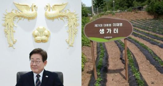 [사진=연합뉴스, MBC 보도 화면 캡처]